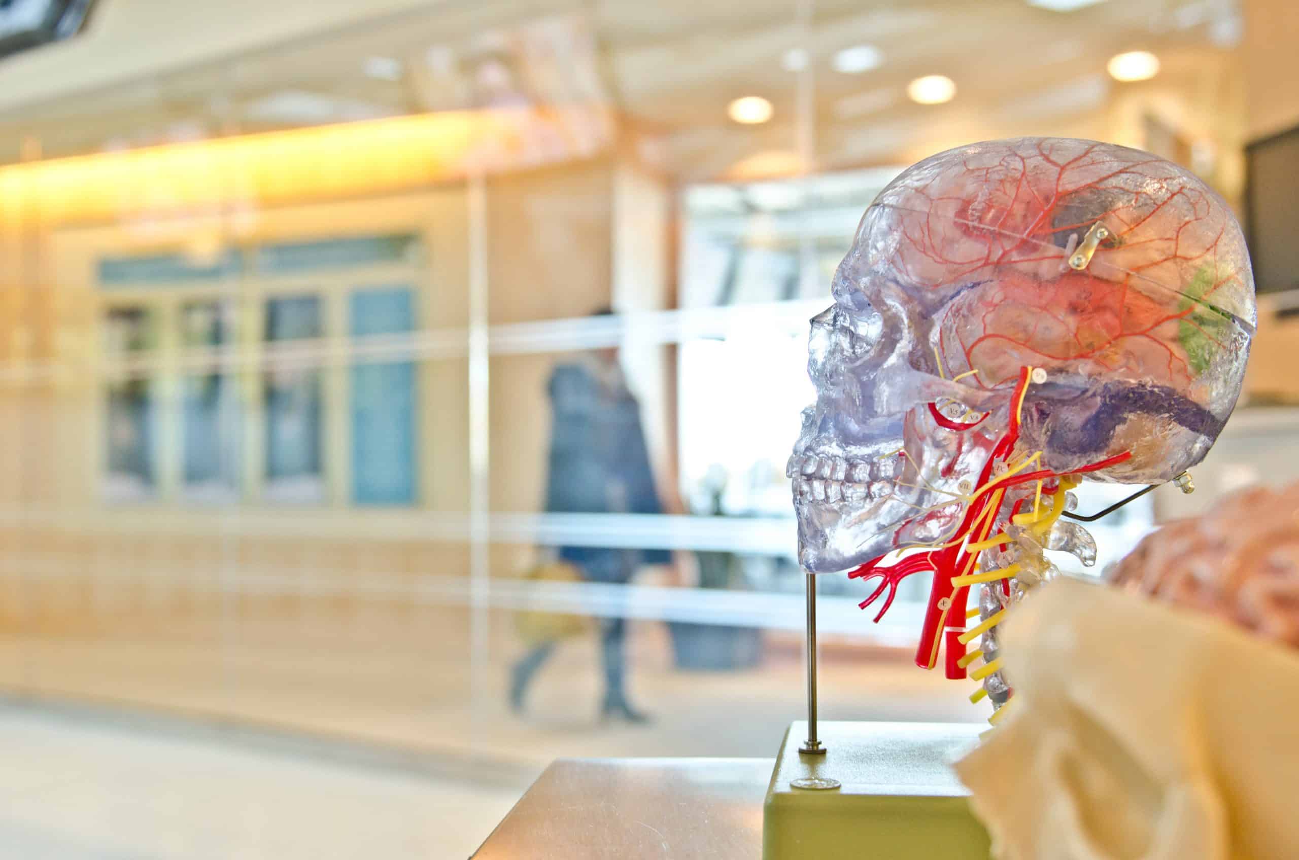How Addiction Affects the Brain