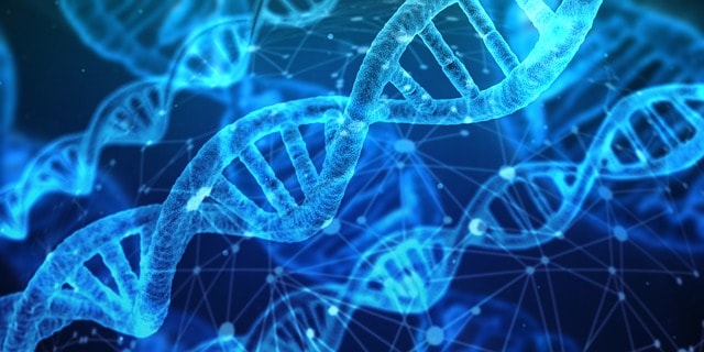 Is Drug Addiction Genetic?